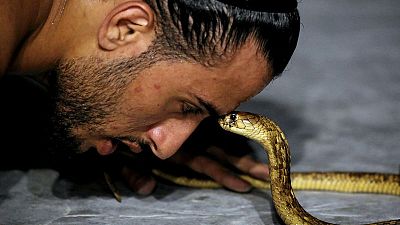 Egyptian in Red Sea resort town charms snakes to sleep