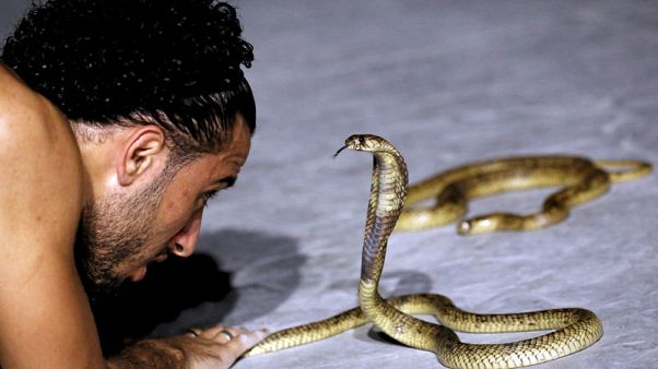 مصري في شرم الشيخ يروض الأفاعي لجذب السياح مصري في شرم الشيخ يروض الأفاعي لجذب السياح