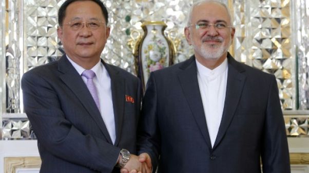 Le chef de la diplomatie nord-coréenne en Iran Le chef de la diplomatie nord-coréenne en Iran