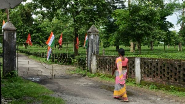 Inde: les ouvriers du thé en grève pour gagner 50 cents de plus par jour Inde: les ouvriers du thé en grève pour gagner 50 cents de plus par jour