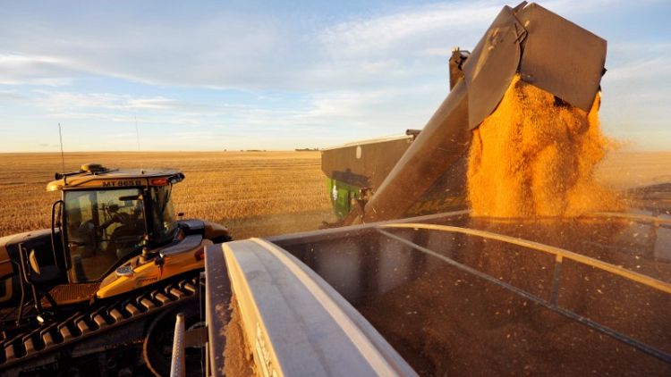Saudi Arabian agency stops buying Canadian wheat, barley