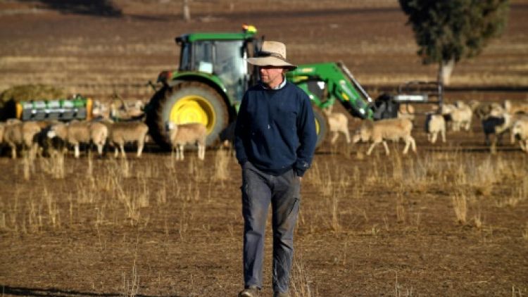 Les éleveurs australiens face à la pire sécheresse en "plus de 50 ans"
