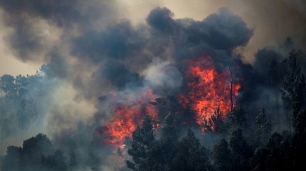 Le Portugal peine à maîtriser l'incendie de forêt dans l'Algarve Le Portugal peine à maîtriser l'incendie de forêt dans l'Algarve