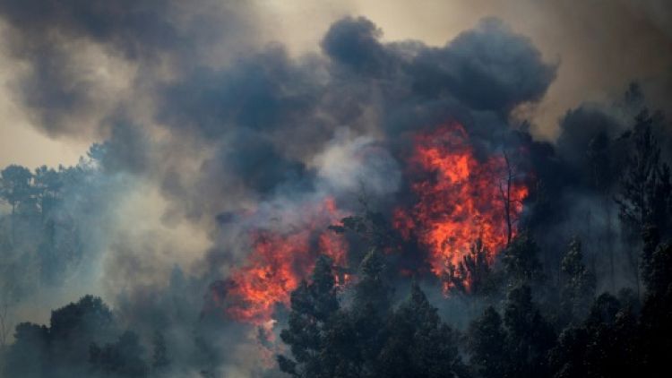 Le Portugal peine à maîtriser l'incendie de forêt dans l'Algarve