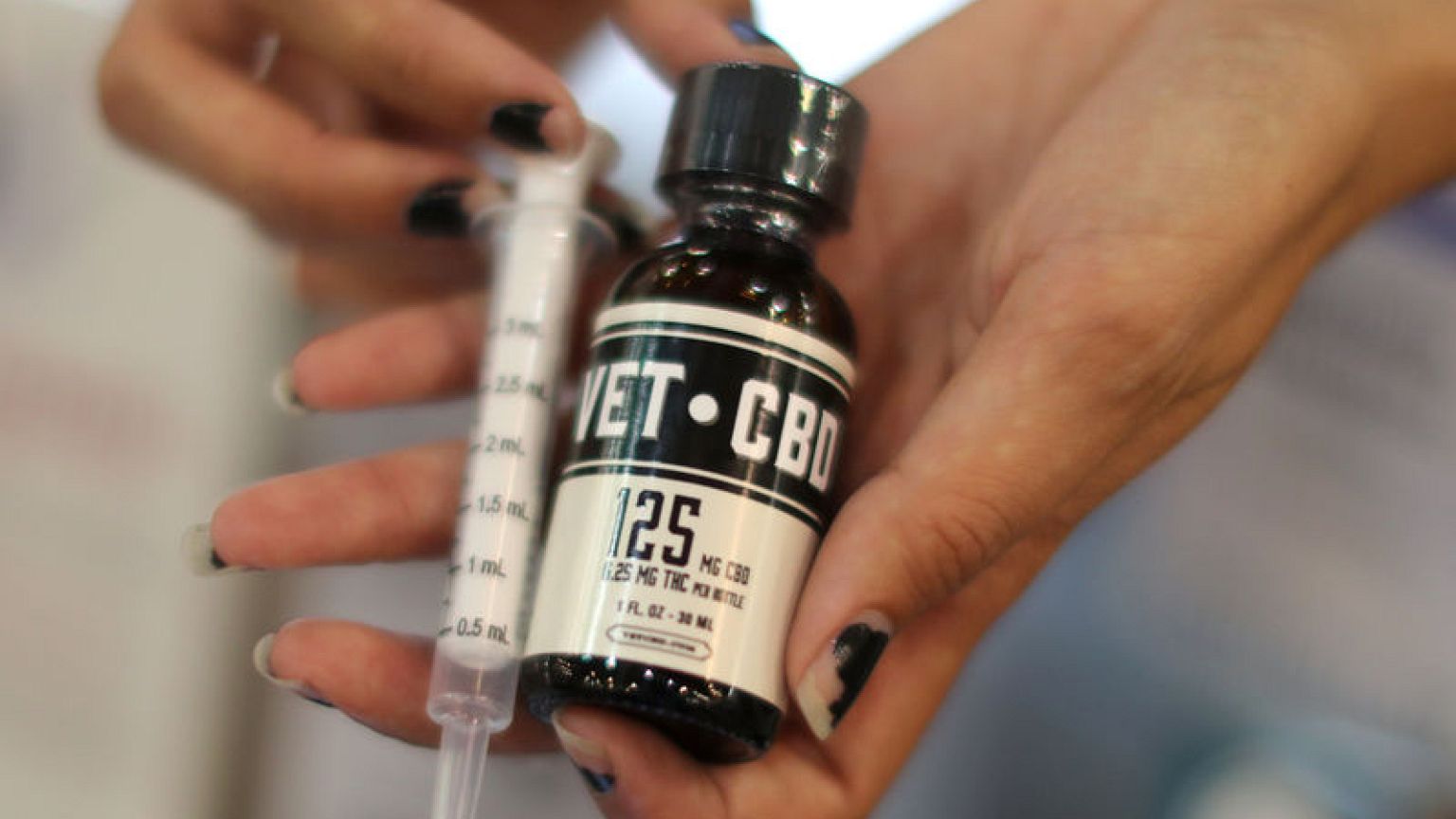 Pot for pets - U.S. federal law puts vets into a quandary