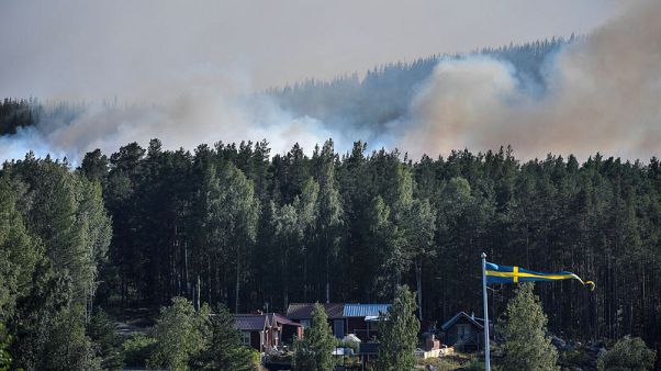 Heat wave pushes environment up the political agenda in Sweden - poll Heat wave pushes environment up the political agenda in Sweden - poll