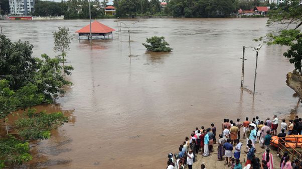 Rains, landslides kill 24, displace thousands in India's Kerala state Rains, landslides kill 24, displace thousands in India's Kerala state