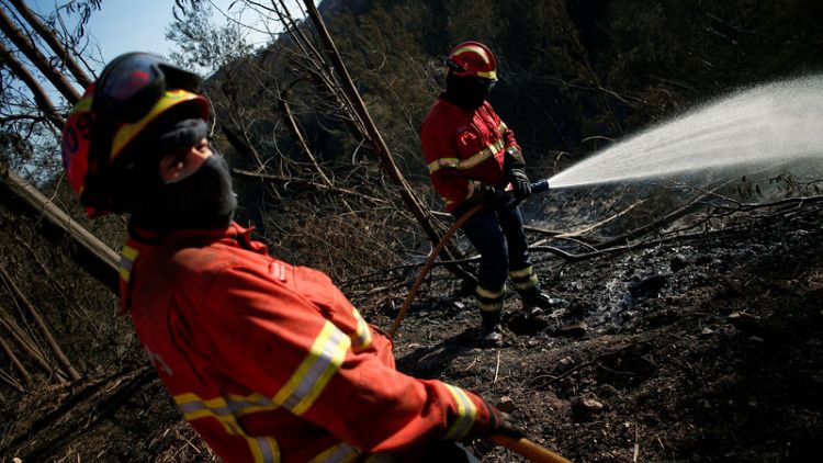 Portugal puts out Algarve fire, firefighters keep vigil