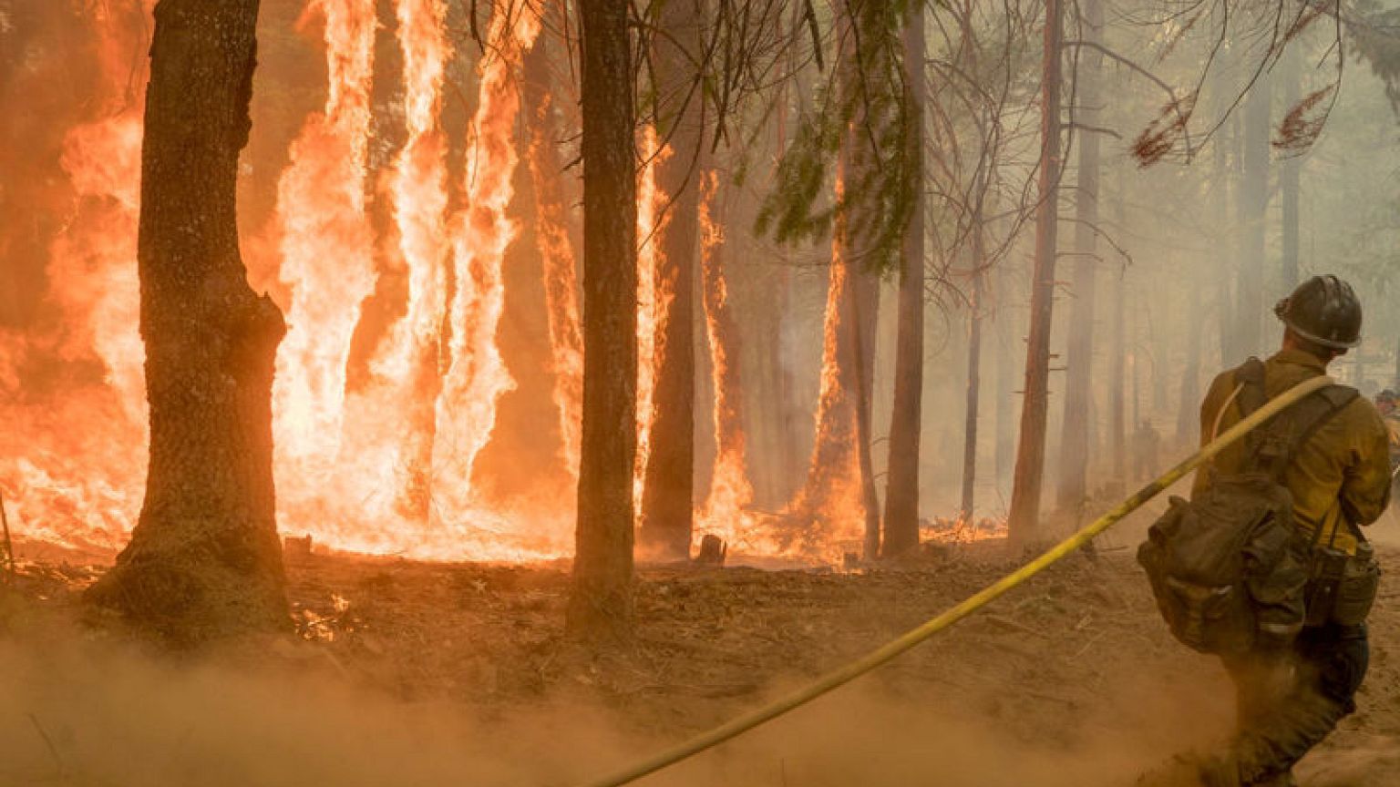 Smoke gets in your eyes: wildfires sting California park tourism