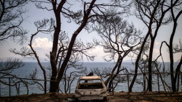 Evacuations sur l'île grecque d'Evia en proie à des incendies Evacuations sur l'île grecque d'Evia en proie à des incendies