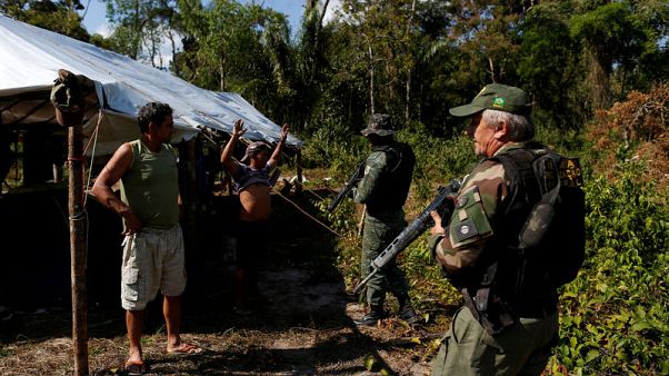 Illegal fishing, harm to Amazon forest linked to tax havens - study Illegal fishing, harm to Amazon forest linked to tax havens - study
