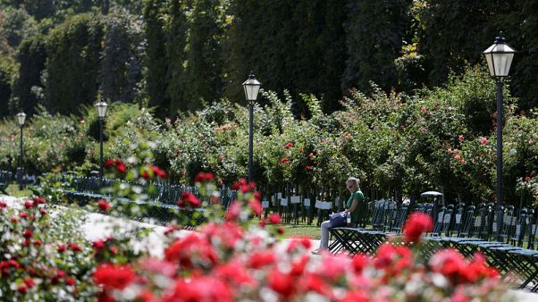 Vienna tops Melbourne as world's most liveable city - Economist survey Vienna tops Melbourne as world's most liveable city - Economist survey