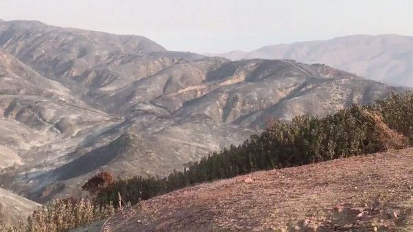 Firefighter killed battling largest blaze in California history Firefighter killed battling largest blaze in California history