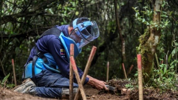 Colombie: près de deux fois plus de victimes de mines antipersonnel en 2018 Colombie: près de deux fois plus de victimes de mines antipersonnel en 2018