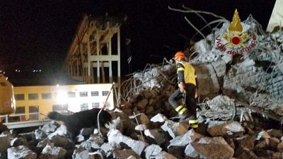 Cani vigili da macerie sisma a Genova