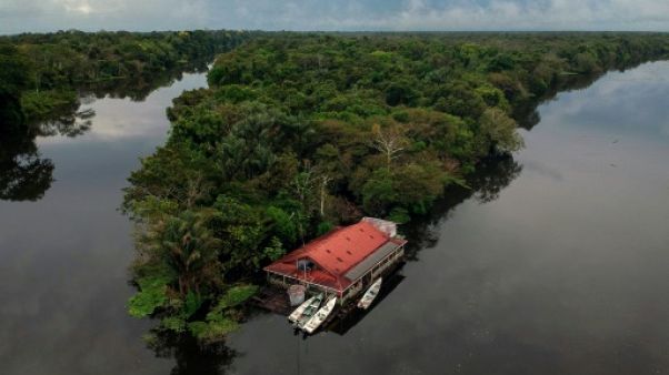 Une maison flottante à la réserve de Mamiraua, en Amazonie, le 26 juin 2018 Une maison flottante à la réserve de Mamiraua, en Amazonie, le 26 juin 2018