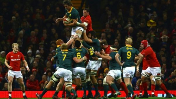 Four Nations: les Sud-Africains Etzebeth et Whiteley de retour dans un pack renforcé Four Nations: les Sud-Africains Etzebeth et Whiteley de retour dans un pack renforcé