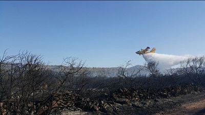 Incendio in Gallura, evacuate 30 case