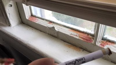 U.S. senators demand answers from Army after Reuters report on lead poisoning U.S. senators demand answers from Army after Reuters report on lead poisoning
