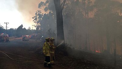 Strong winds stoke bushfires on Australia's east coast