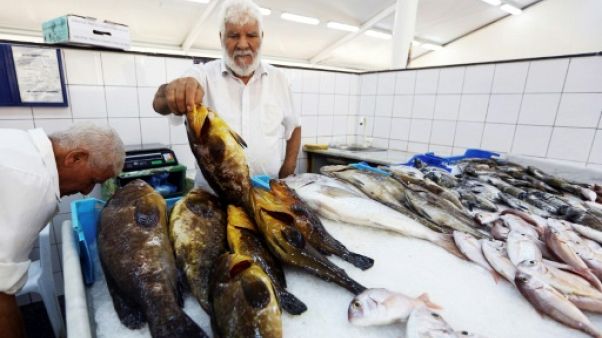 La pêche à l'explosif en Libye, fléau écologique en Méditerranée La pêche à l'explosif en Libye, fléau écologique en Méditerranée