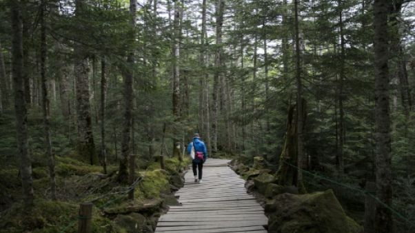 Toujours aucune trace de la Française Tiphaine Véron disparue au Japon Toujours aucune trace de la Française Tiphaine Véron disparue au Japon