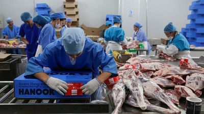 Flock on - Mongolia meat exporters turn to Iran's halal markets