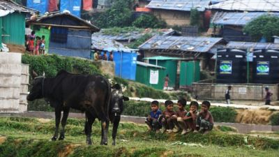 Les Rohingyas célèbrent la fête du sacrifice, un an après le début de la crise birmane