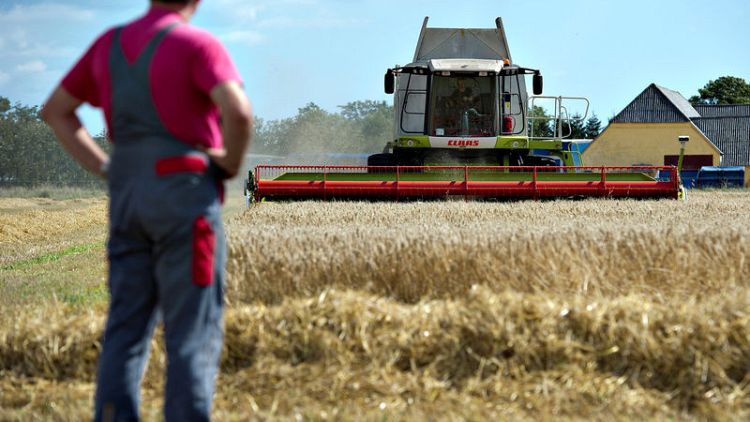 Danish farmers' drought losses deepen, more bankruptcies seen