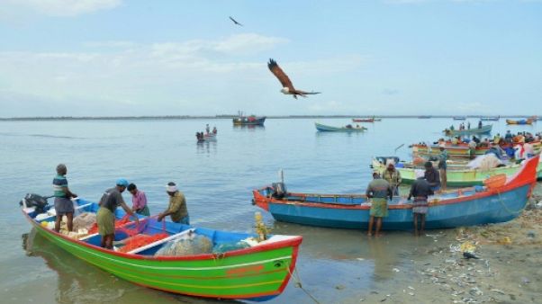 Inondations en Inde: des pêcheurs célébrés en héros pour leur précieux secours Inondations en Inde: des pêcheurs célébrés en héros pour leur précieux secours