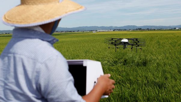 Drones offer high-tech help to Japan's ageing farmers Drones offer high-tech help to Japan's ageing farmers
