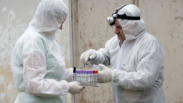 African swine fever - China marks new front in battle against deadly disease African swine fever - China marks new front in battle against deadly disease