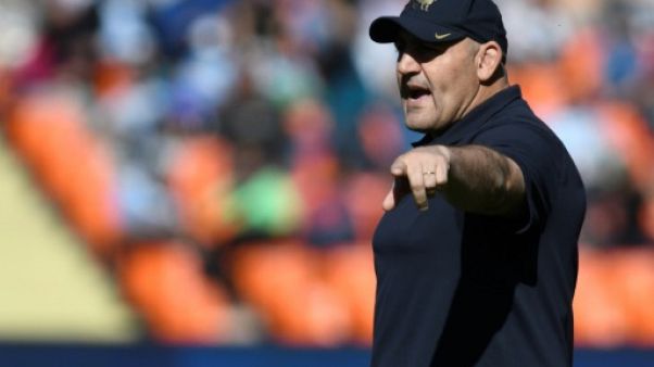 Rugby Championship: l'Argentine renoue avec la victoire devant les Boks, 1re pour Ledesma Rugby Championship: l'Argentine renoue avec la victoire devant les Boks, 1re pour Ledesma