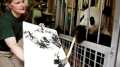حديقة حيوان في فيينا تجتذب الزوار بحيوان باندا موهوب في الرسم