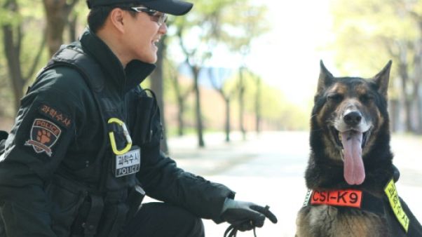 Corée du Sud: cérémonie d'hommage à un chien policier mort en service Corée du Sud: cérémonie d'hommage à un chien policier mort en service