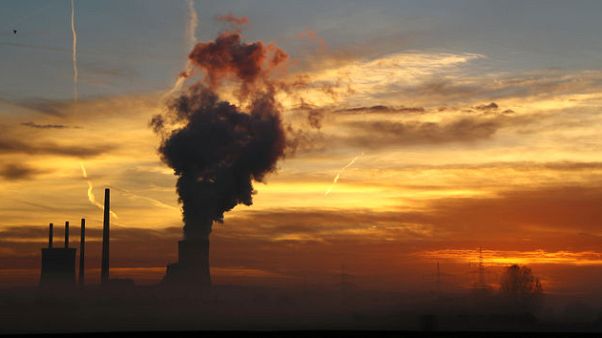 Savvy European utilities shield themselves from higher carbon costs Savvy European utilities shield themselves from higher carbon costs