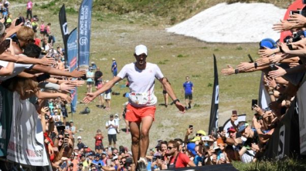 Ultra Trail du Mont Blanc: Jornet renonce à mi-parcours suite à une pîqure d'abeille Ultra Trail du Mont Blanc: Jornet renonce à mi-parcours suite à une pîqure d'abeille
