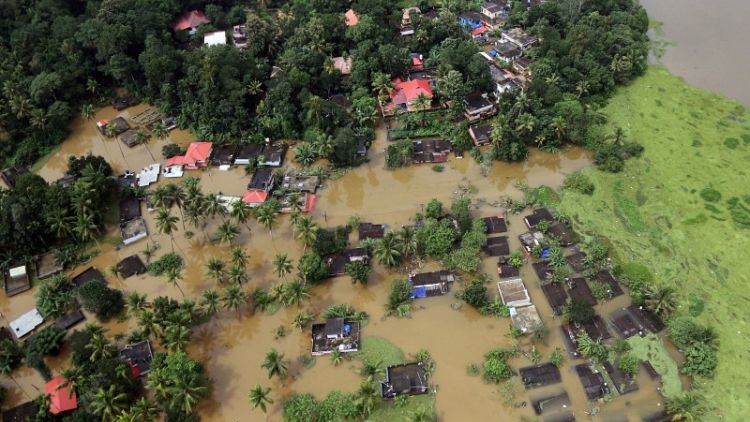ولاية هندية تكافح "حمى الجرذ" بعد أسوأ فيضانات في قرن