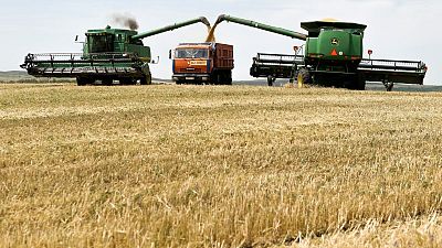 روسيا تجتمع بتجار الحبوب ولا ترى حاجة لتقليص الصادرات