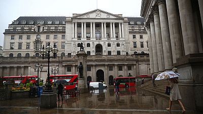 Wait and see impact of August rate hike - BoE's Tenreyro
