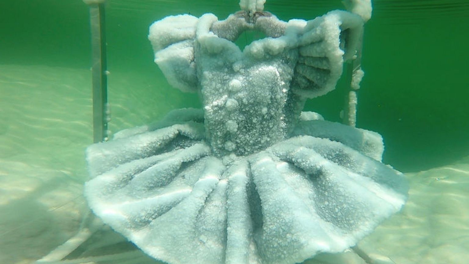 Frozen crystal beauty in the Dead Sea