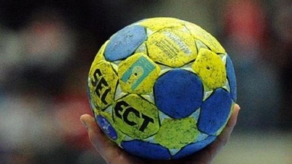 Un ballon de hand. Un ballon de hand.