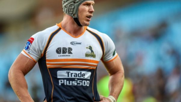 Rugby Championship: l'Australien Pocock toujours blessé au cou, absent contre les Springboks Rugby Championship: l'Australien Pocock toujours blessé au cou, absent contre les Springboks