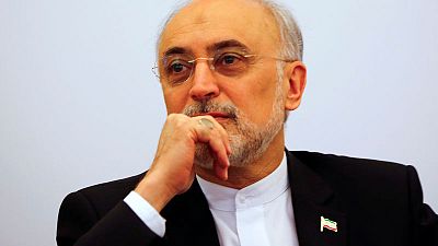 Iran completes facility to build centrifuges - nuclear chief Iran completes facility to build centrifuges - nuclear chief