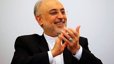 مسؤول نووي: إيران تكمل إقامة منشأة لبناء أجهزة الطرد المركزي
