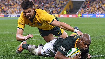 Bok wing Mapimpi out of All Blacks clash with knee injury Bok wing Mapimpi out of All Blacks clash with knee injury
