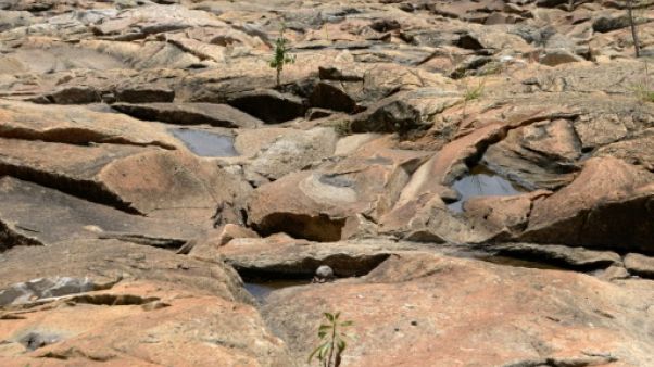 Météo: 70% de probabilité d'un phénomène El Niño à la fin de l'année Météo: 70% de probabilité d'un phénomène El Niño à la fin de l'année