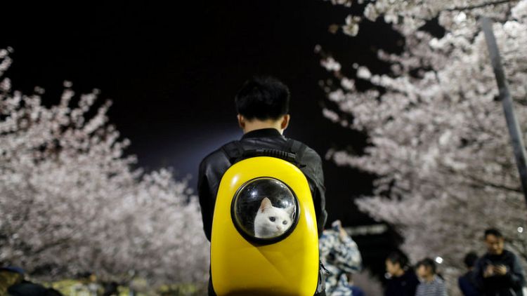 China's expected surge in pet spending draws disbelief, criticism