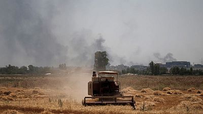 حصري-العراق ينوي خفض مساحة القمح المروية للنصف بسبب شح المياه