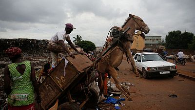 In Mali's capital, donkeys are on front line of fight against waste In Mali's capital, donkeys are on front line of fight against waste